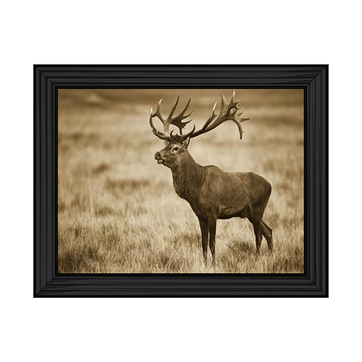 Red Deer Stag - Framed Picture
