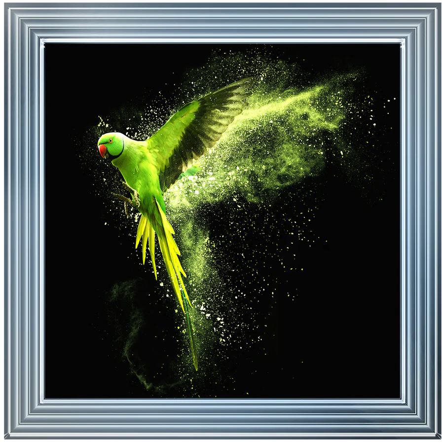 Flying Green Parrot – Framed Picture