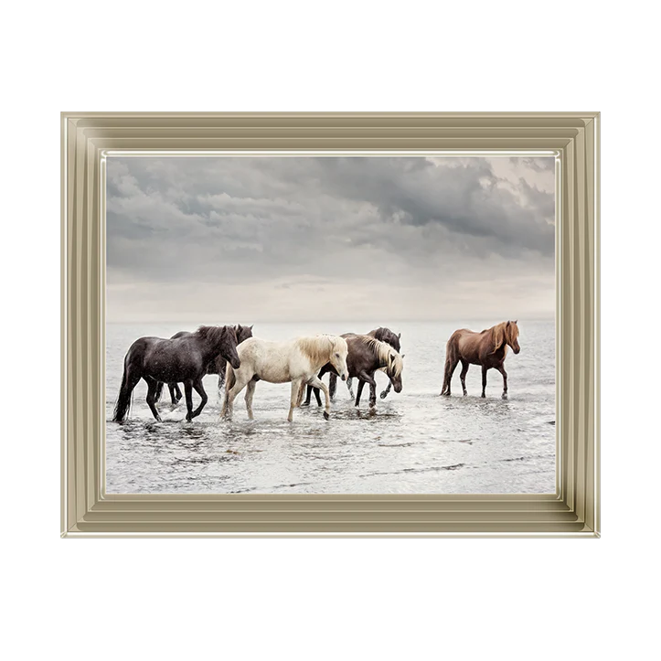 Water Horses - Framed Picture