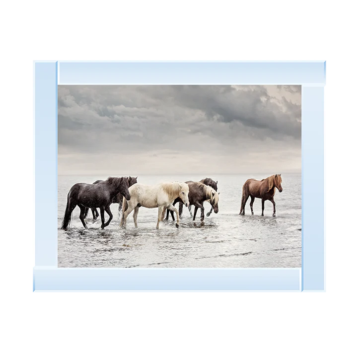 Water Horses - Framed Picture