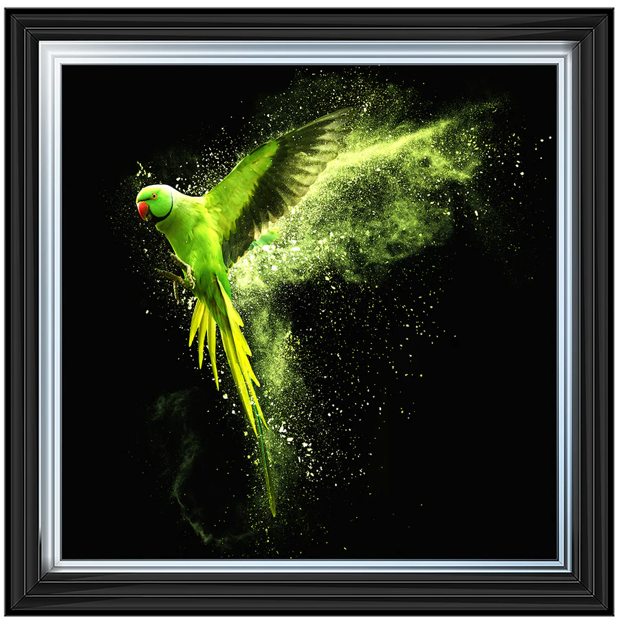 Flying Green Parrot – Framed Picture