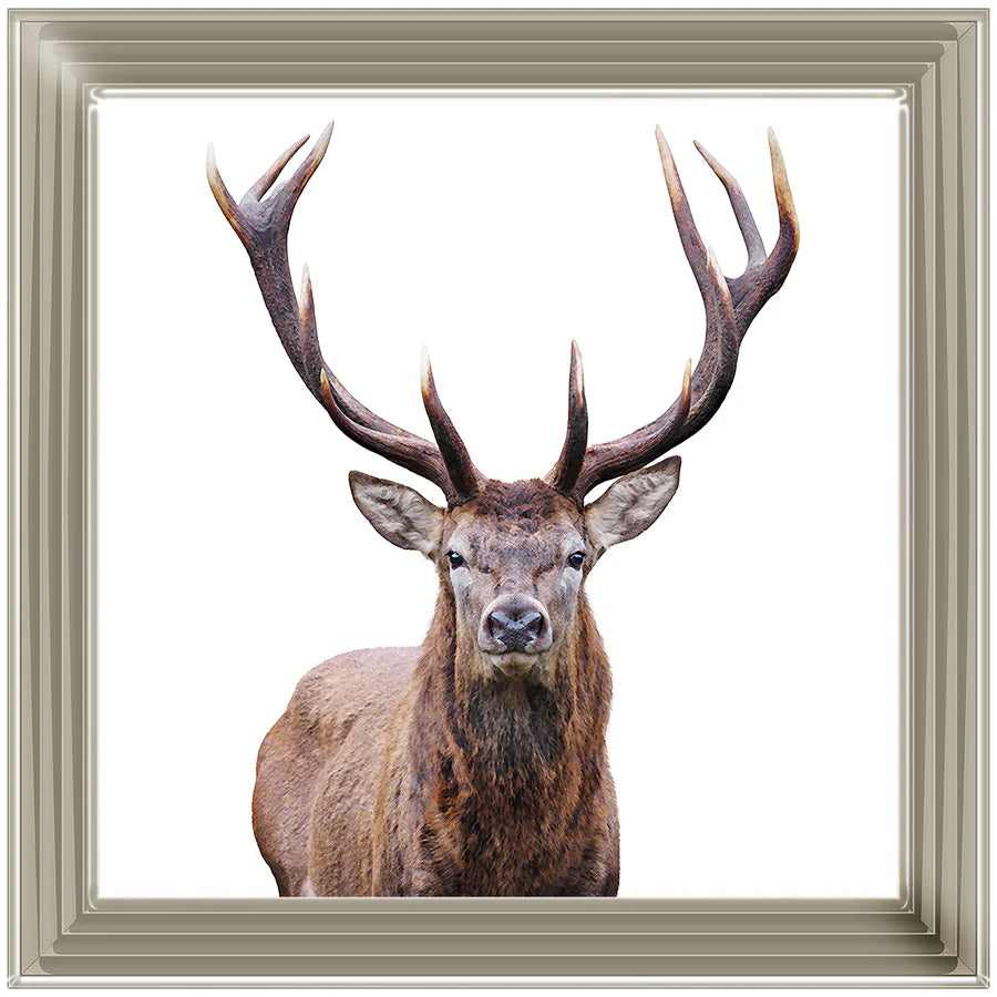 Stag Portrait - Champagne Framed Picture