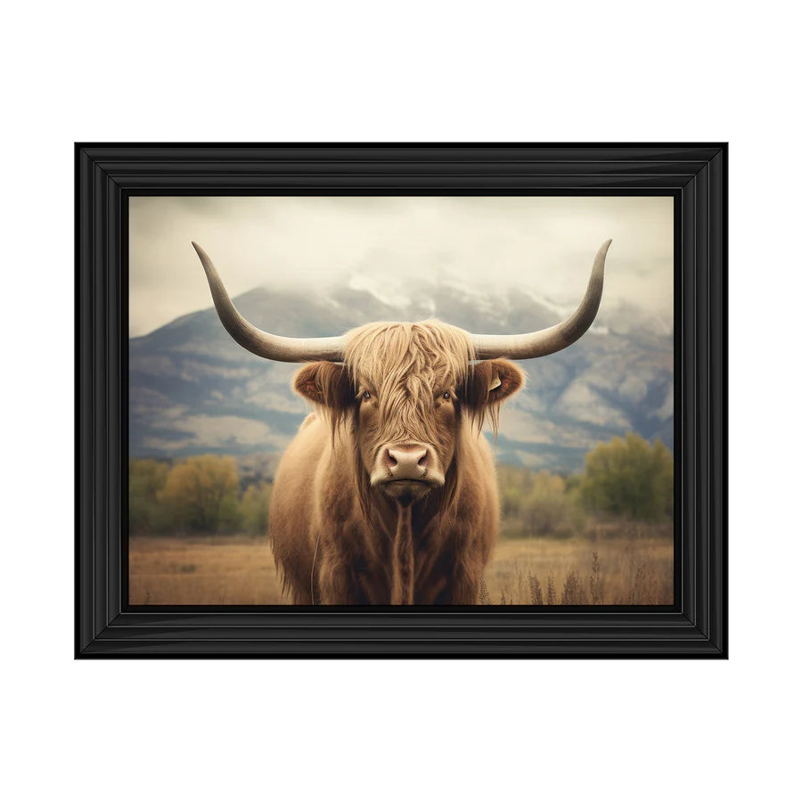 Highland Cattle Portrait - Framed Picture