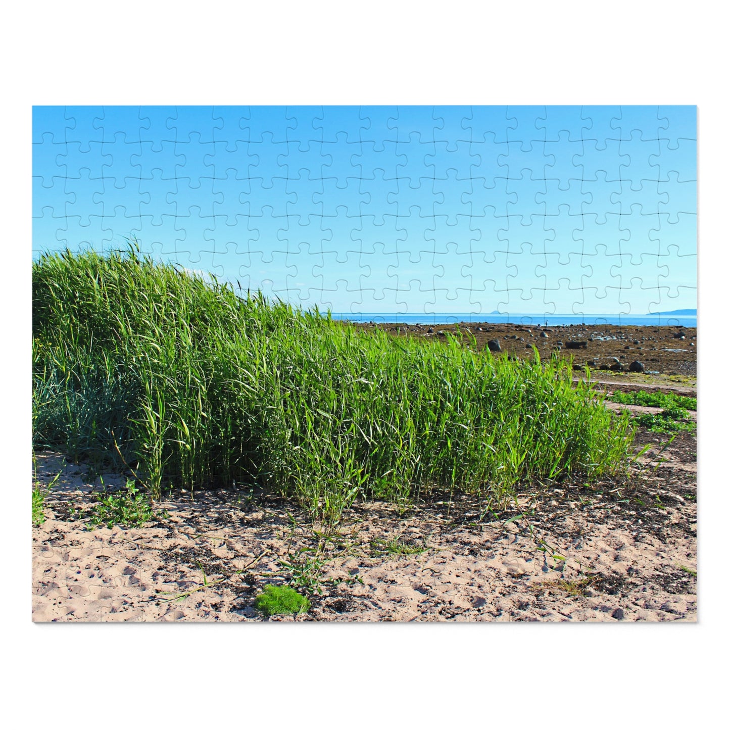 Jigsaw puzzle with a scenic view of green grass against a blue sky.