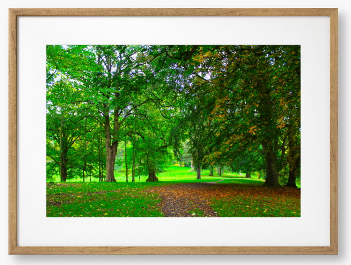 Framed Photo of a pathway through a park with green trees and fallen leaves.