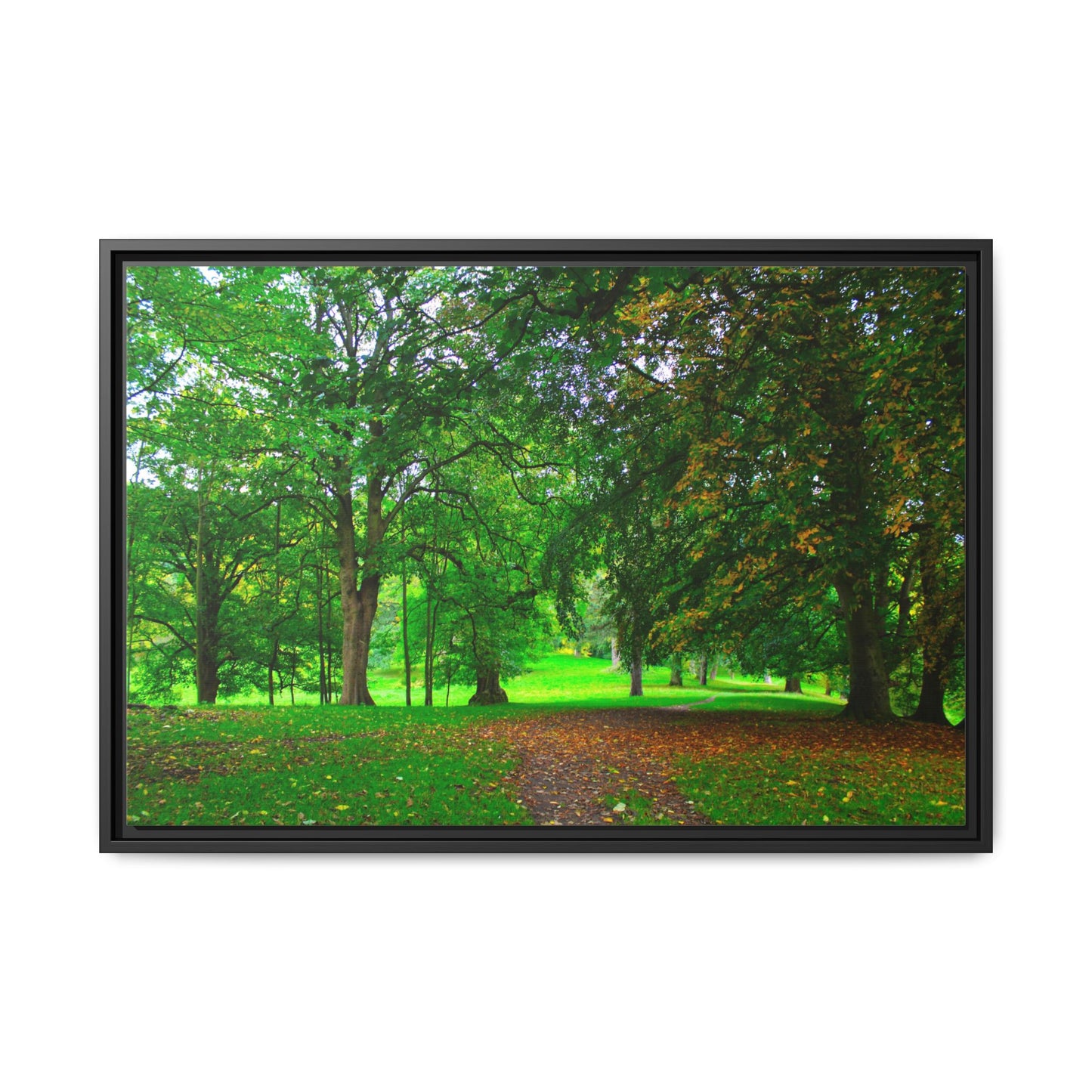 Framed picture of a lush green forest with a path