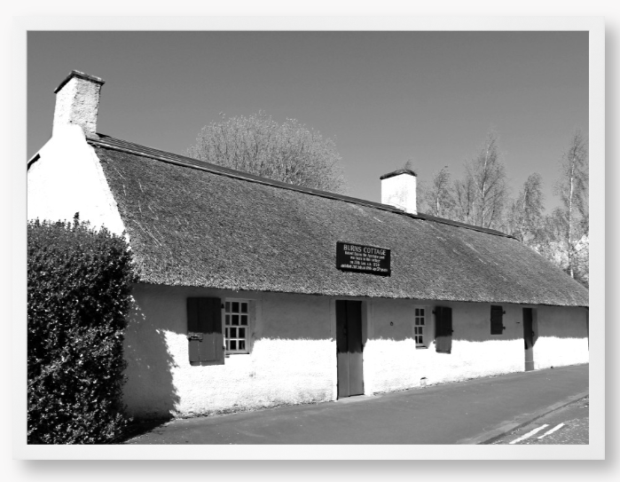 Black and White Framed Photo Of A Thatched cottage on a road with trees in the background