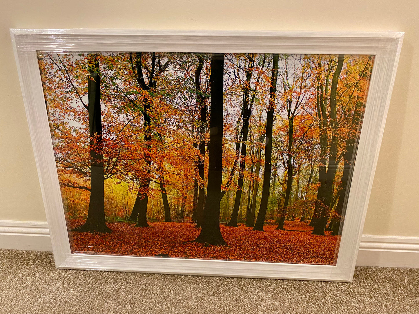 Framed picture of an autumn forest with colourful trees on a beige wall.
