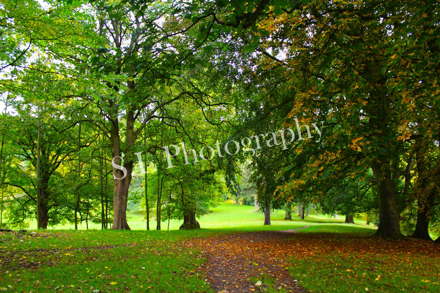 Auckland Park, County Durham - Print