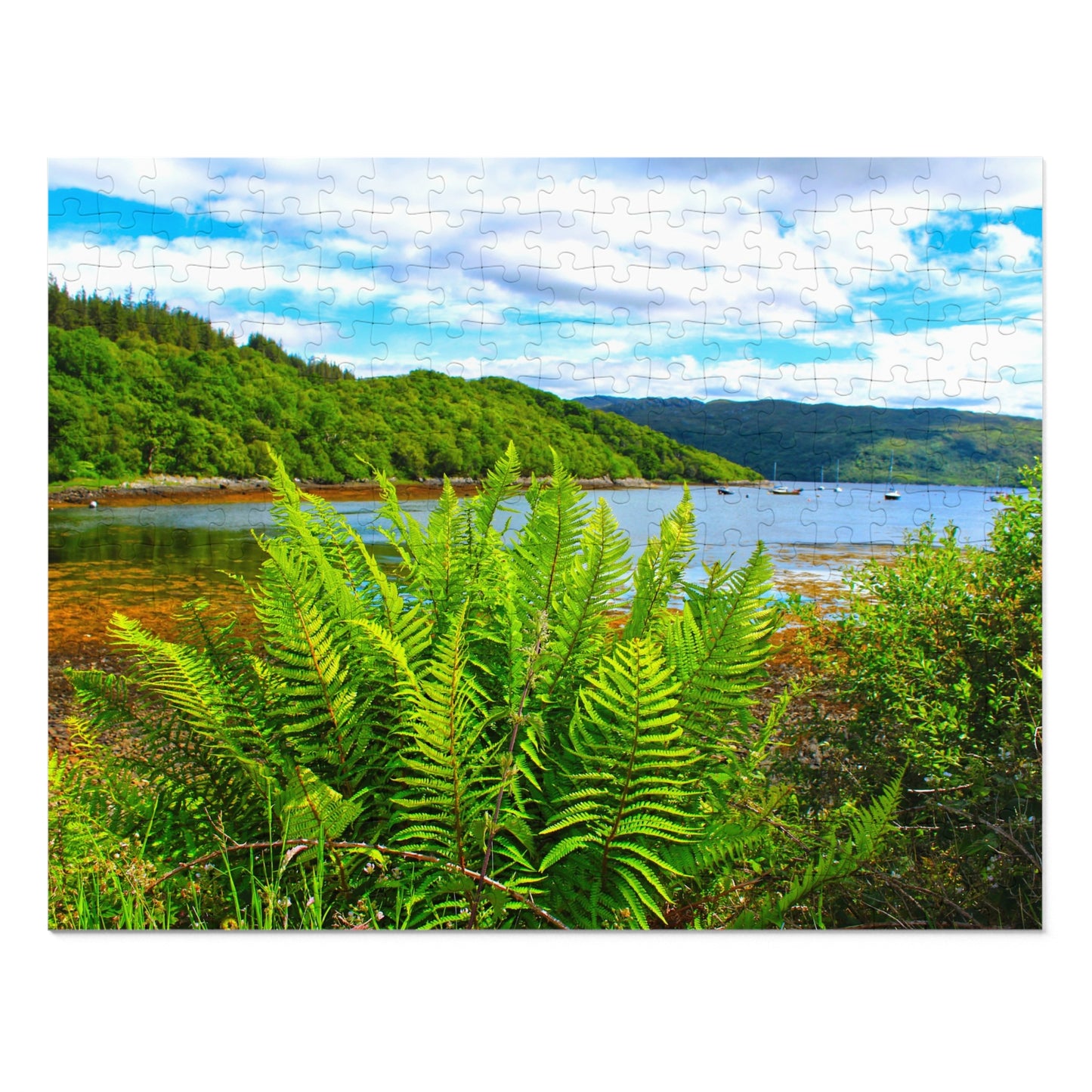 Lush green ferns in the foreground with a scenic view of a lake and mountains in the background.