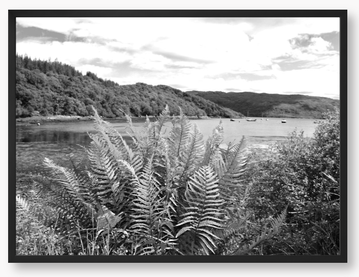 Framed black and white photograph of a lake with mountains and ferns.
