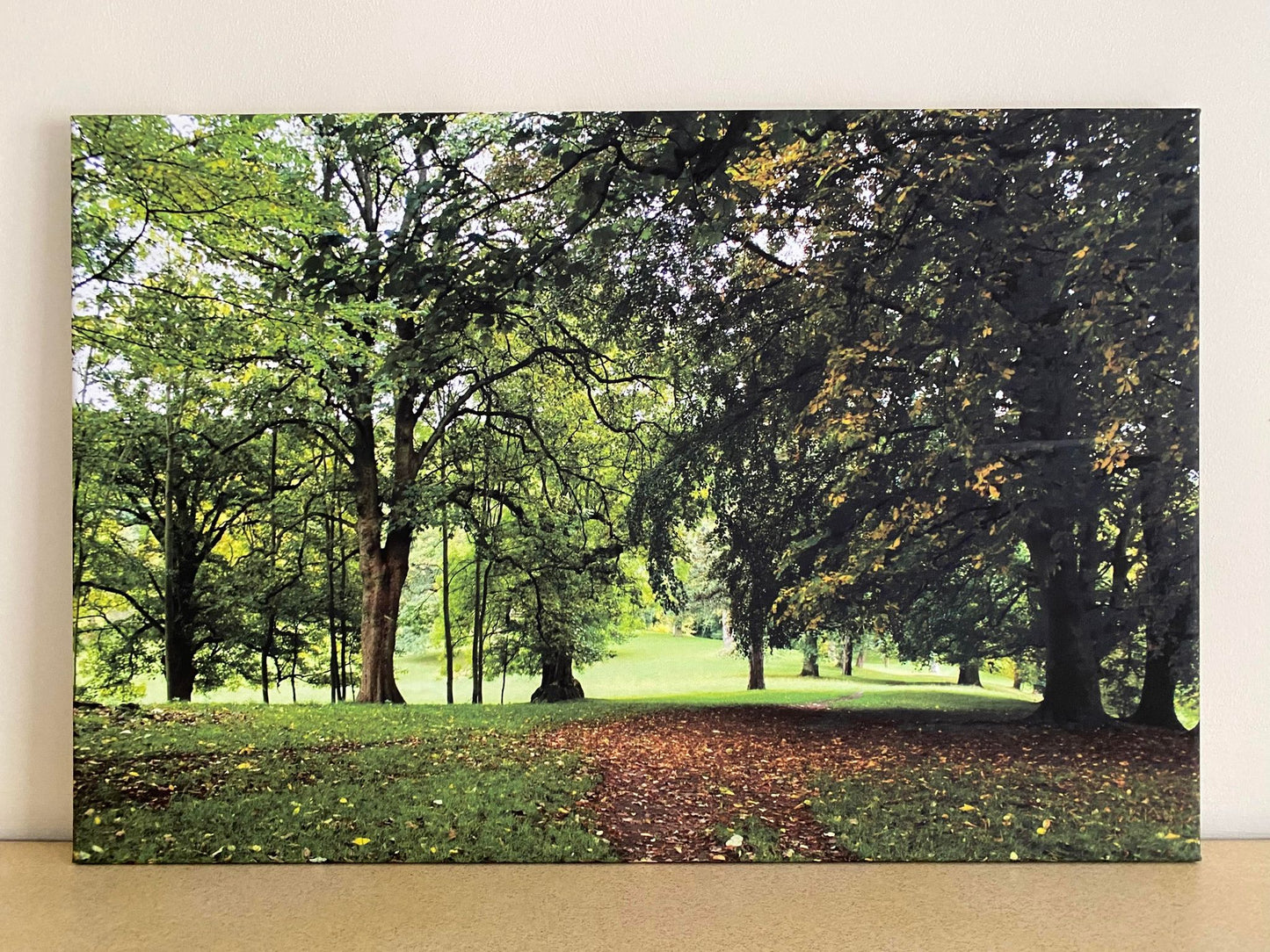 Auckland Park, County Durham - Print