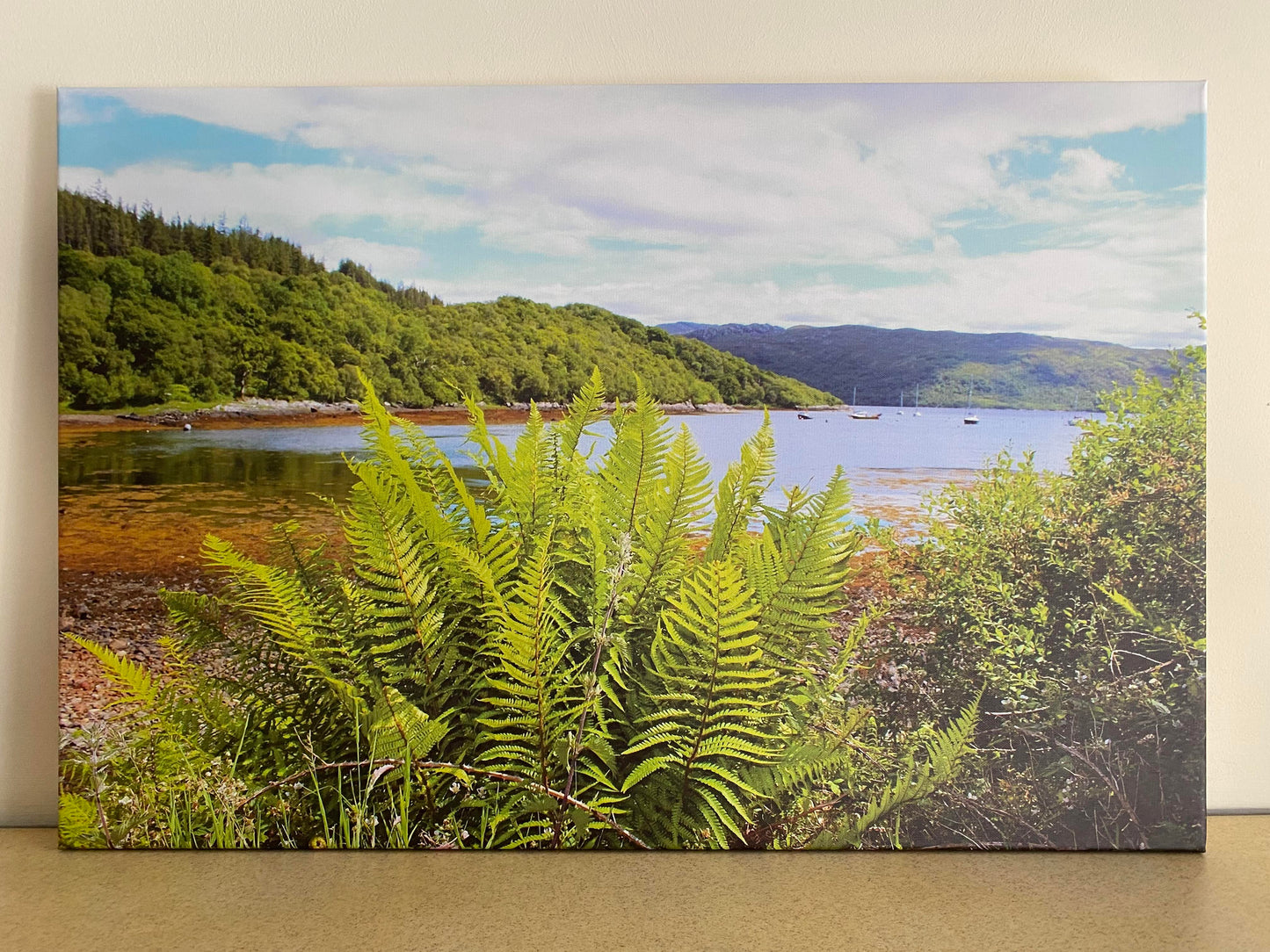 Loch Carron Scottish Highlands - Print
