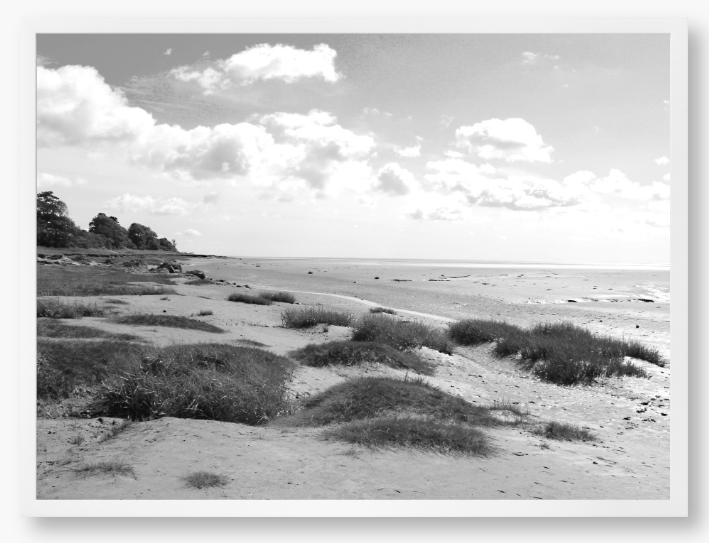 Black and White Framed photograph of a coastal landscape with sandy beach, grassy areas, and cloudy sky.