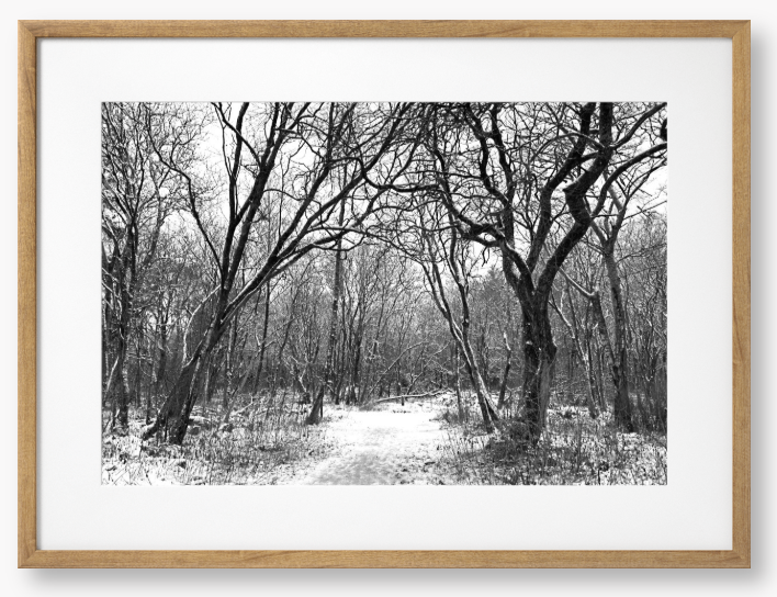 Black and White Framed Photo Of A Snowy forest path with bare trees in winter