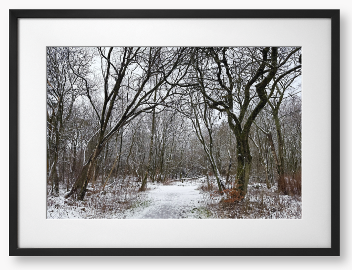 Framed Photo Of A Snowy forest path with bare trees in winter