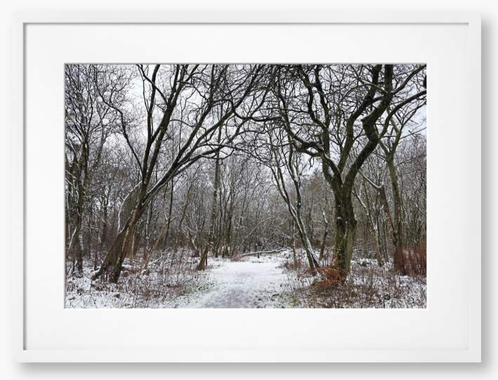 Framed Photo Of A Snowy forest path with bare trees in winter