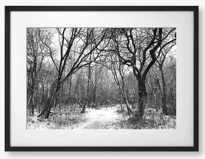 Black and White Framed Photo Of A Snowy forest path with bare trees in winter