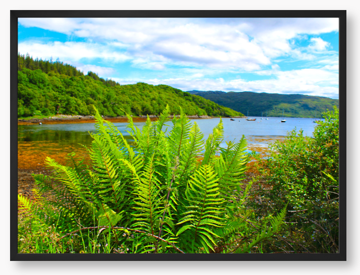 Loch Sunart, Scotland - Framed Print
