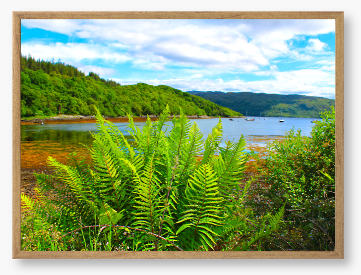 Loch Sunart, Scotland - Framed Print