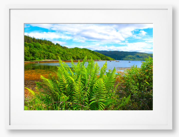 Loch Sunart, Scotland - Framed Print