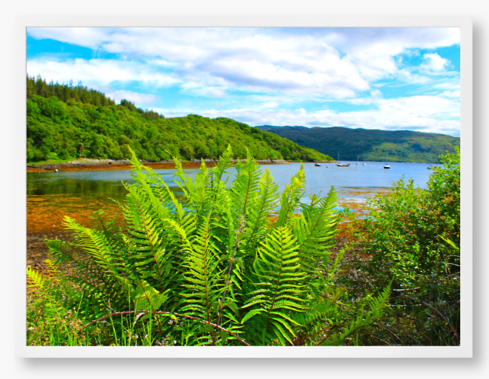 Loch Sunart, Scotland - Framed Print