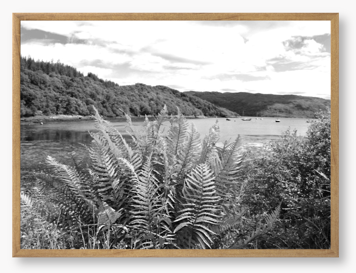Loch Sunart, Scotland - Framed Print