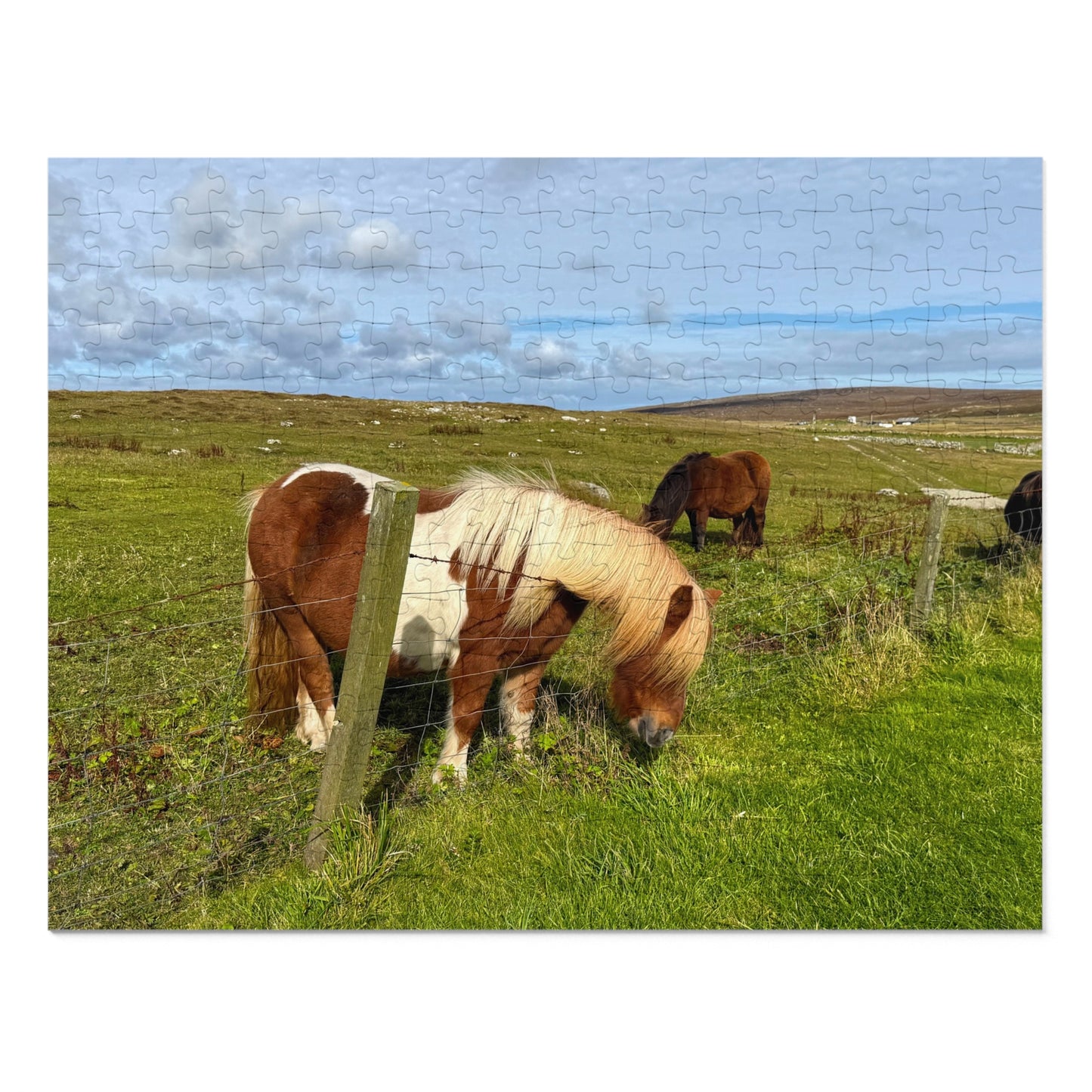 Jigsaw puzzle with horses in a field on a white background