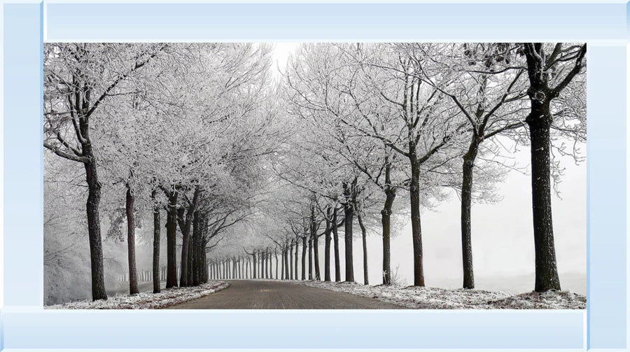 A mirror framed picture featuring a road going off into the distance with snow covered trees at each side of it.