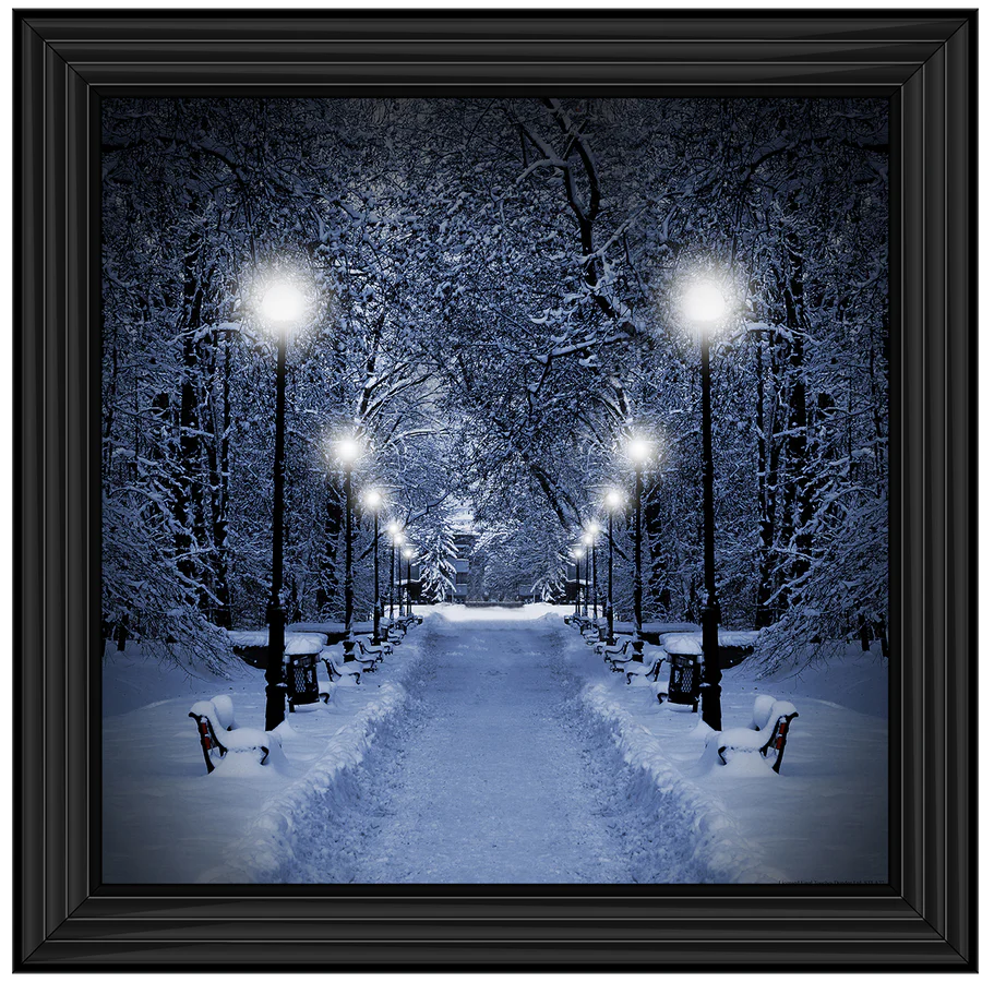Winter Park Street Lights – Framed Picture