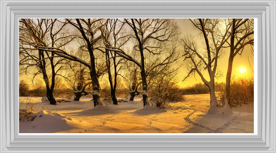 Snowy Winter Trees At Sunset - Framed Picture