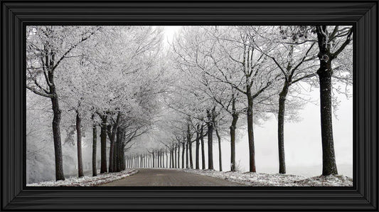 Snowy Trees On Winter Road - Framed Picture
