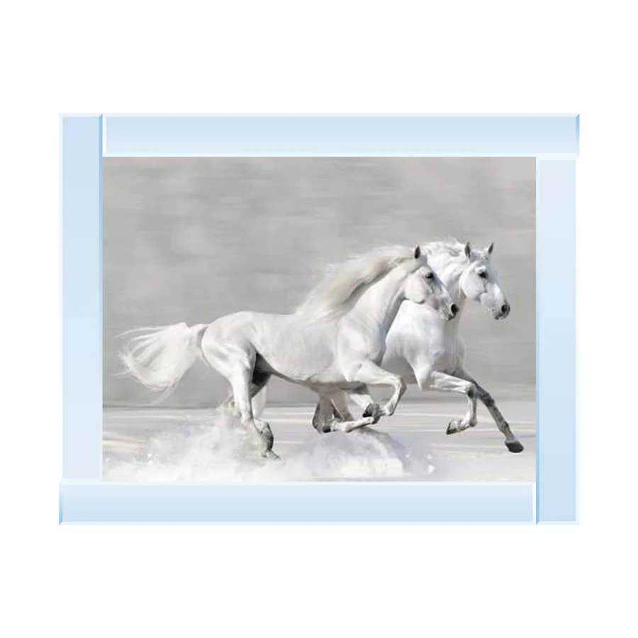 White Horses Galloping - Framed Picture