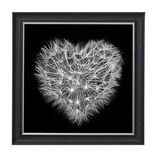 Dandelion Heart - Black Framed Picture