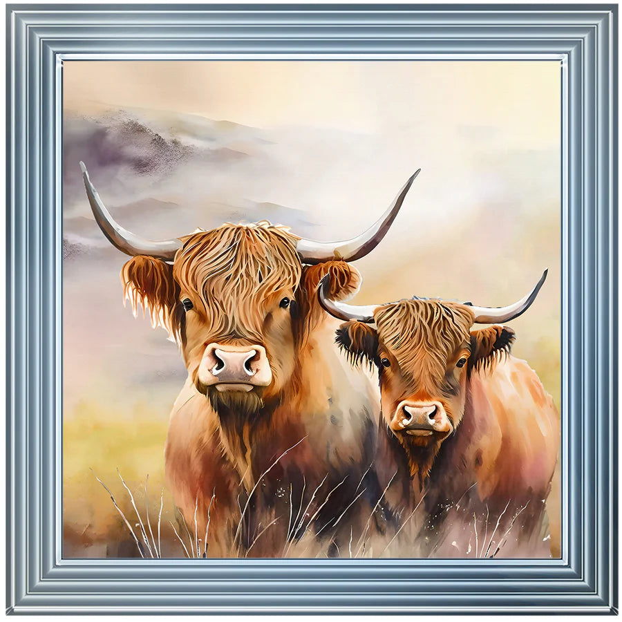 Family Of Highland Cows - Framed Picture