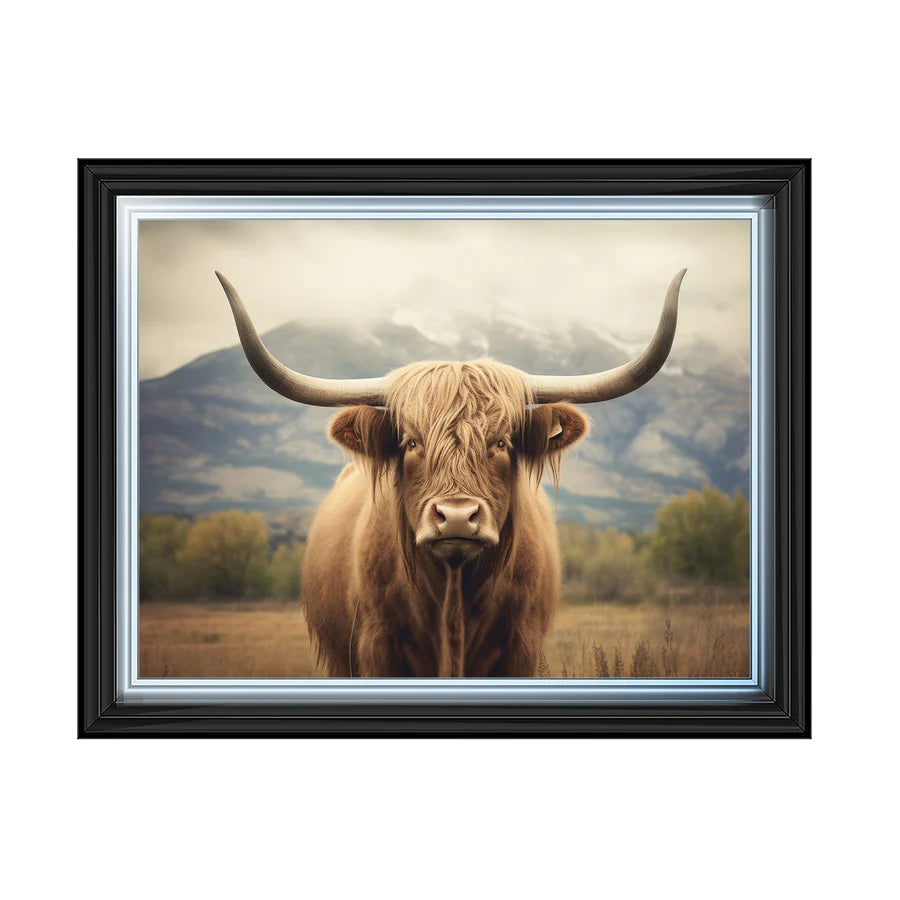 Highland Cattle Portrait - Framed Picture