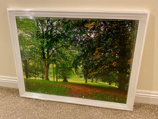 Framed picture of a park with trees and grass on a beige wall.