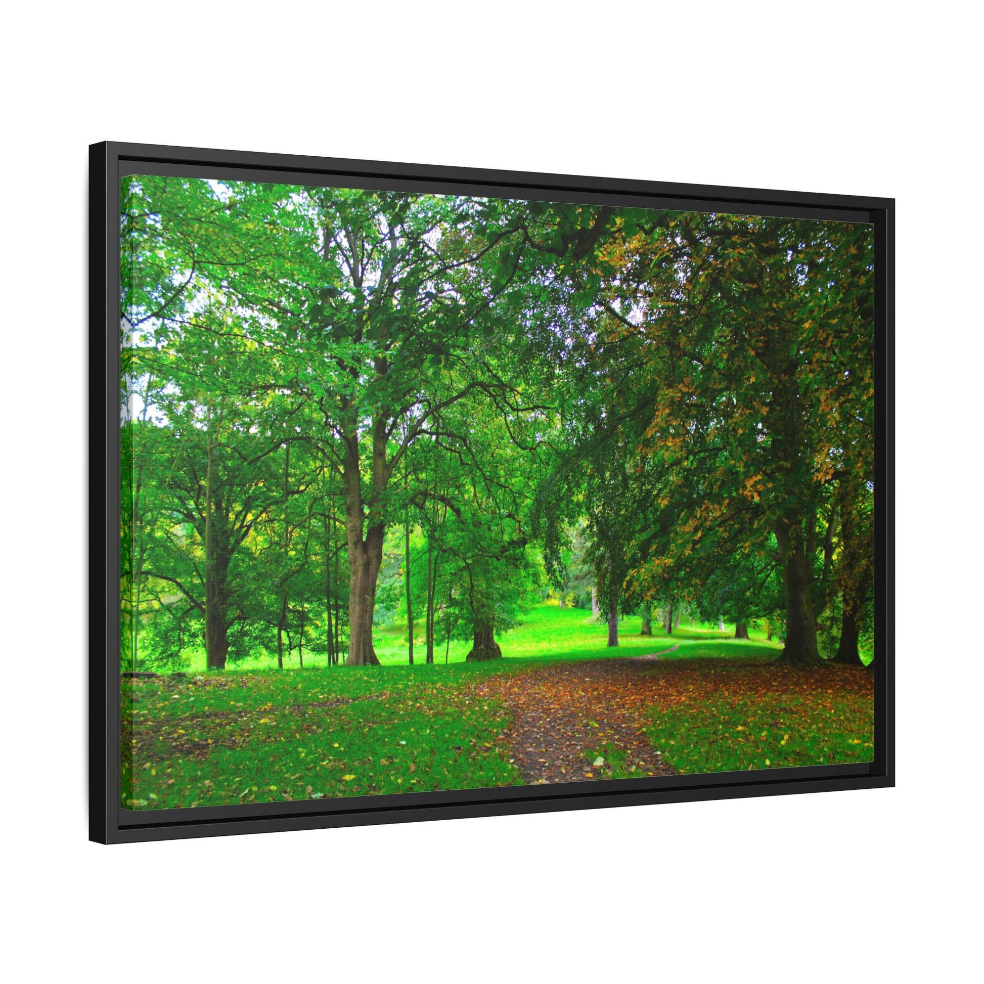 Framed picture of a lush green forest with a path