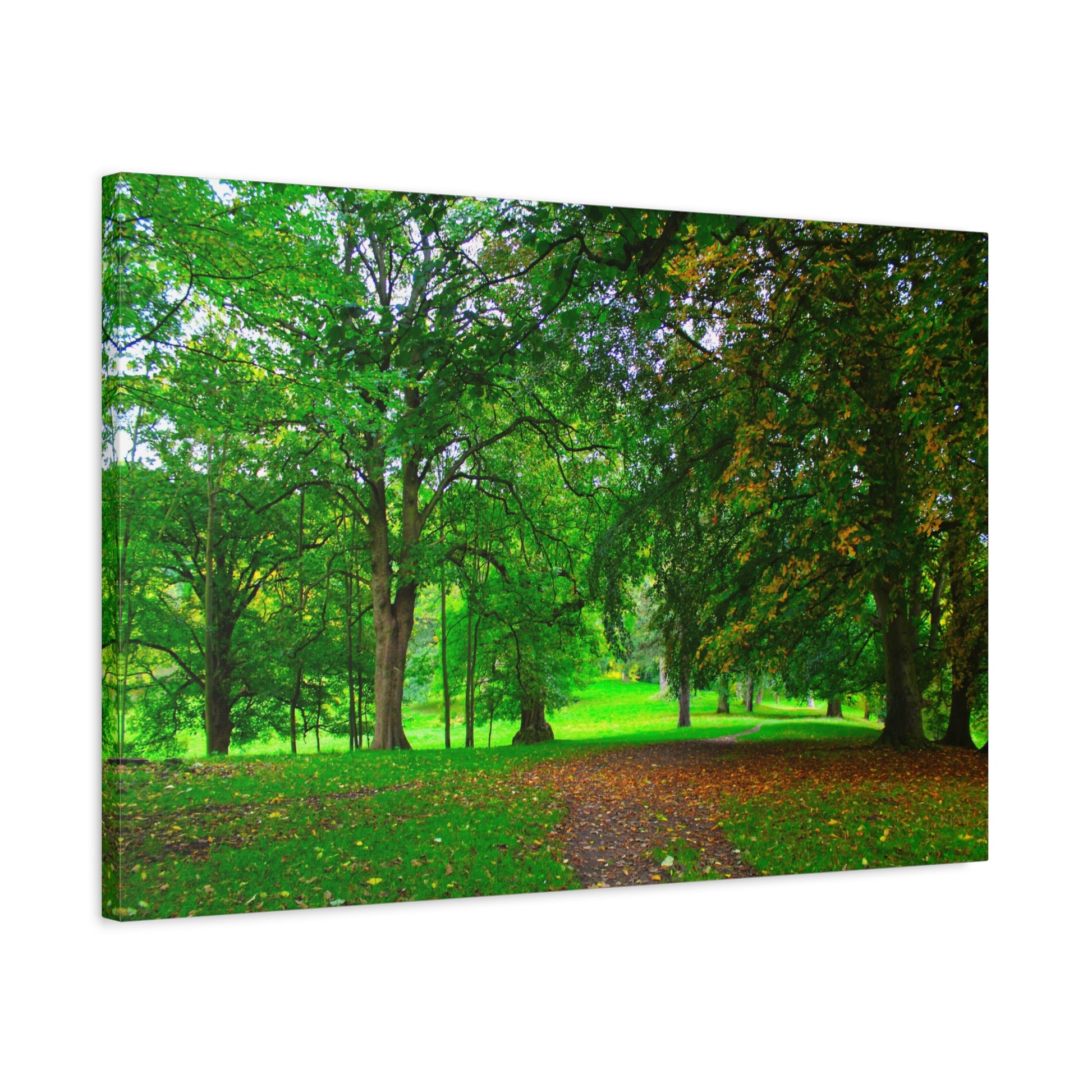 Canvas print of a green forest with a path