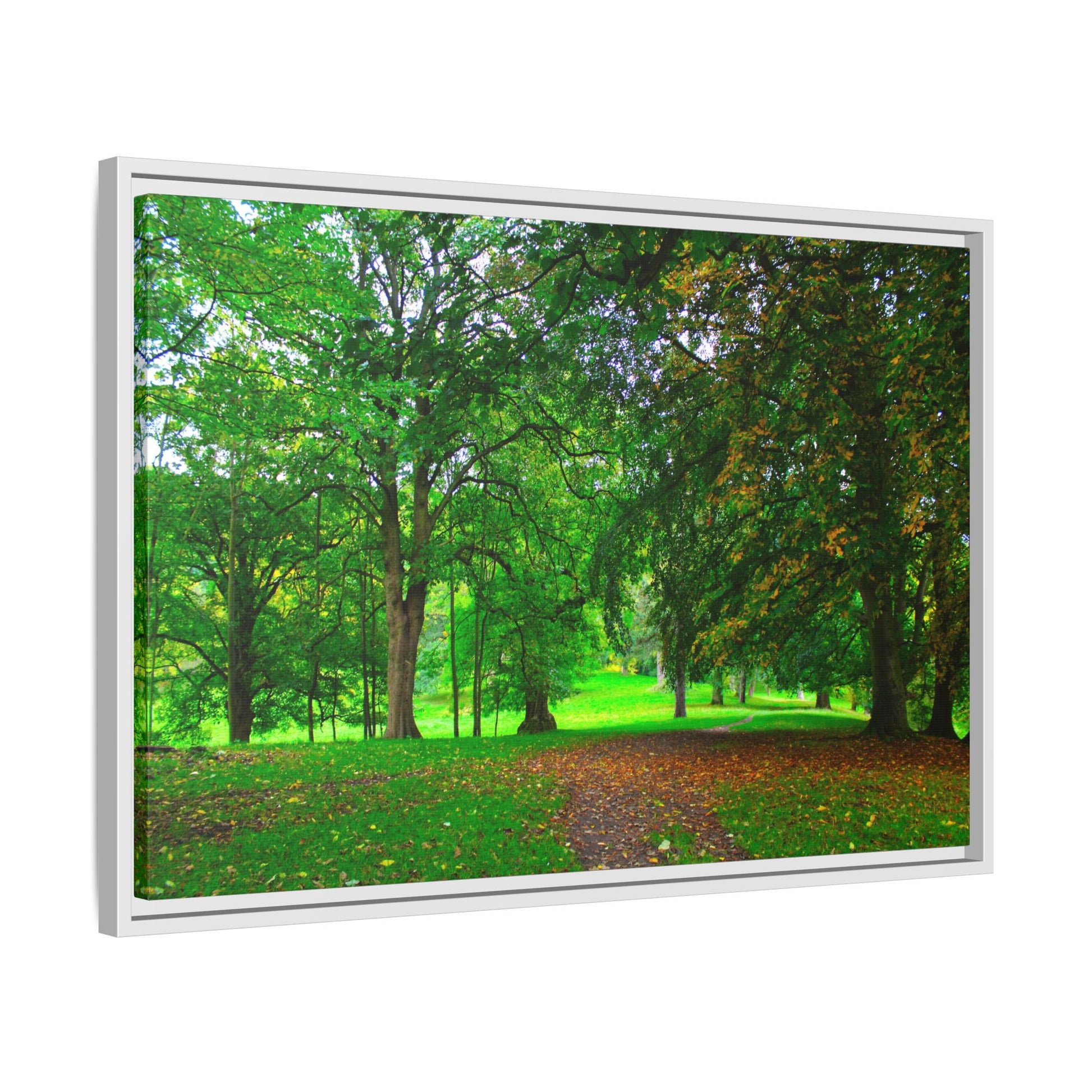 Framed print of a lush green forest scene with trees and a path.