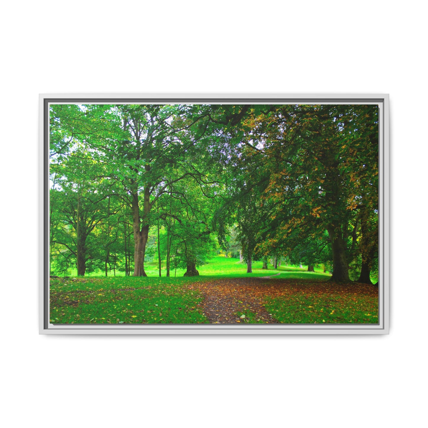 Framed photograph of a lush green park with trees and a path.