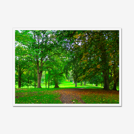 Framed photograph of a lush green park with trees and a path.