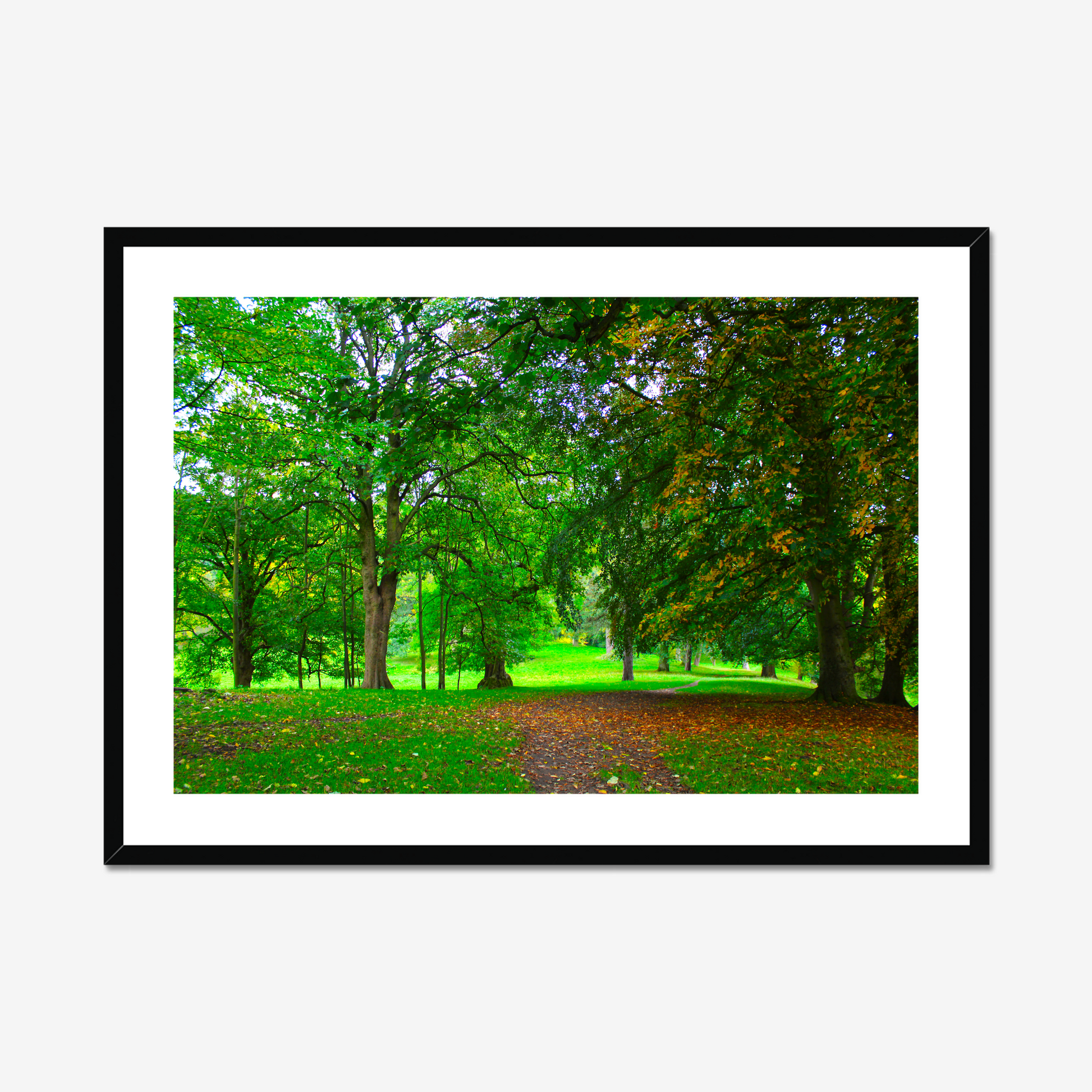Framed photograph of a lush green park with trees and a path.