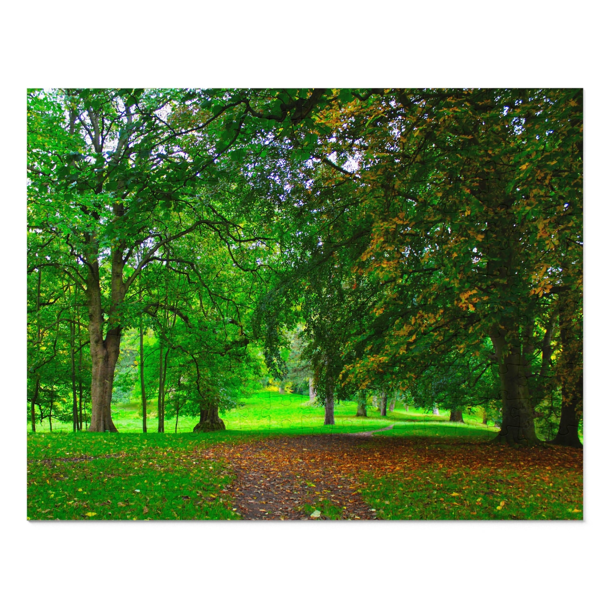 Pathway through a lush green park with trees and grass