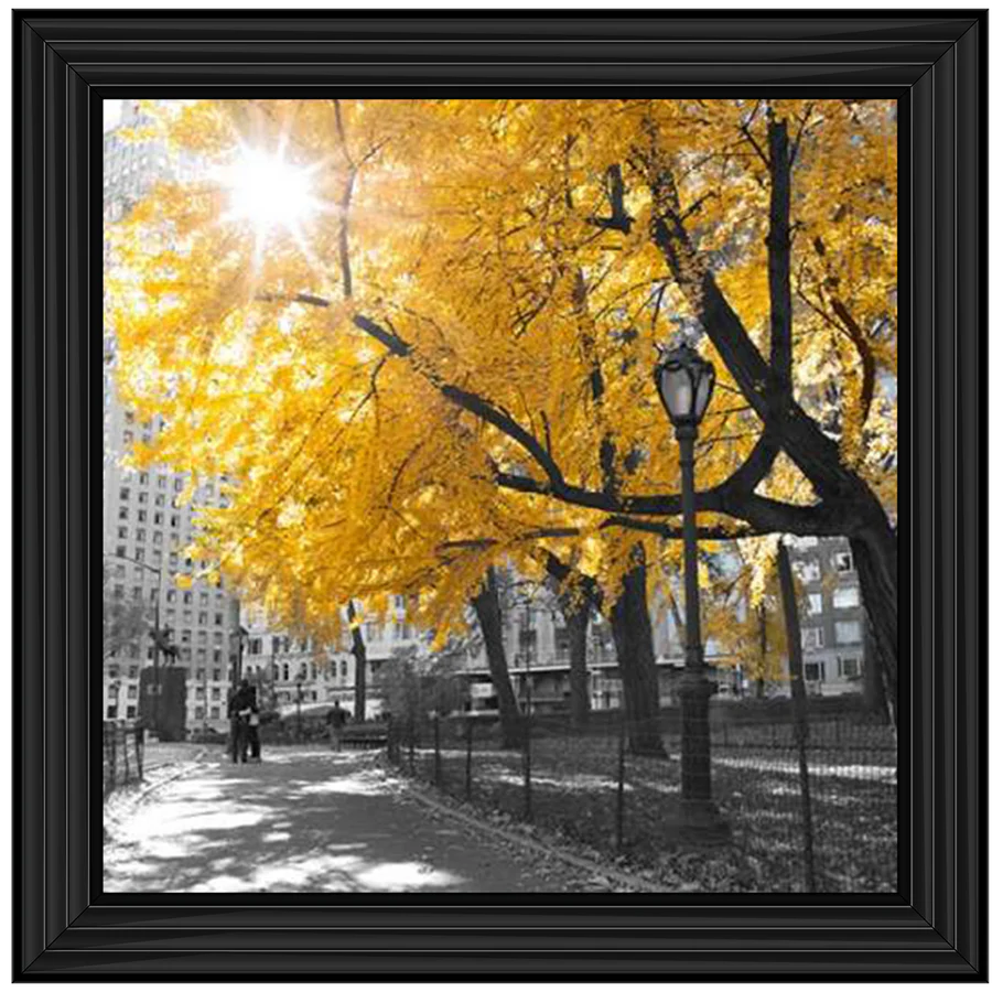 New York Central Park With Yellow Tree – Framed Picture
