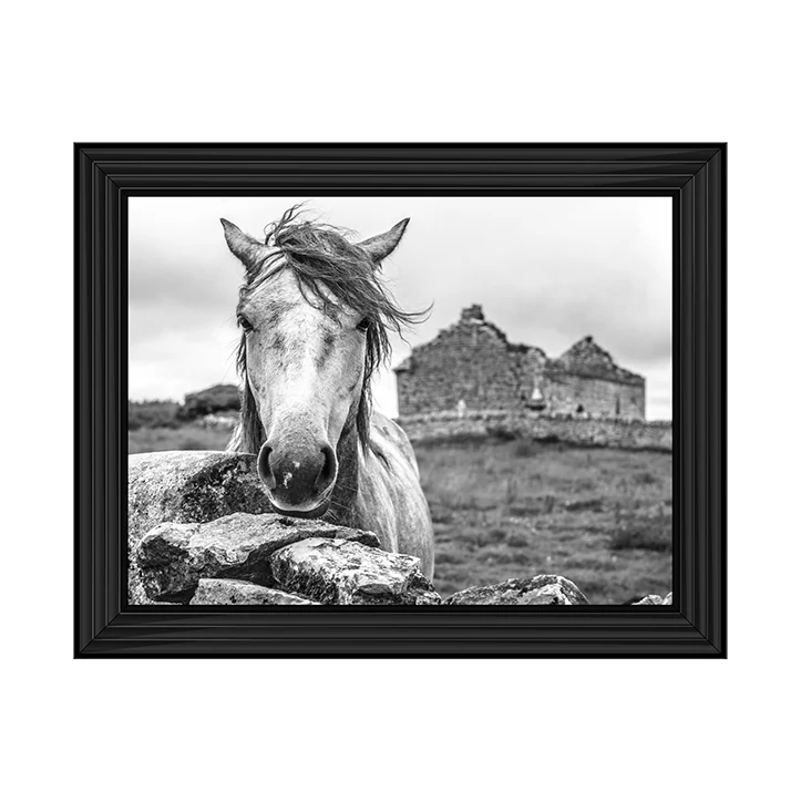 A framed black and white picture of a horse with a black frame, set against a rural backdrop.