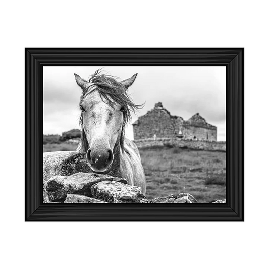 A framed black and white picture of a horse with a black frame, set against a rural backdrop.