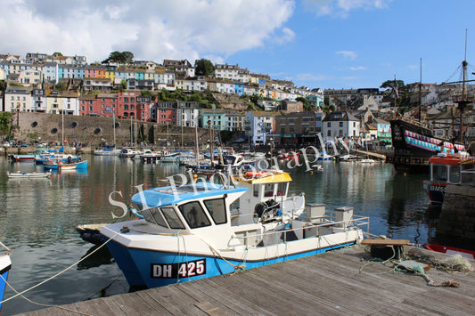 Brixham Harbour, Devon - Print