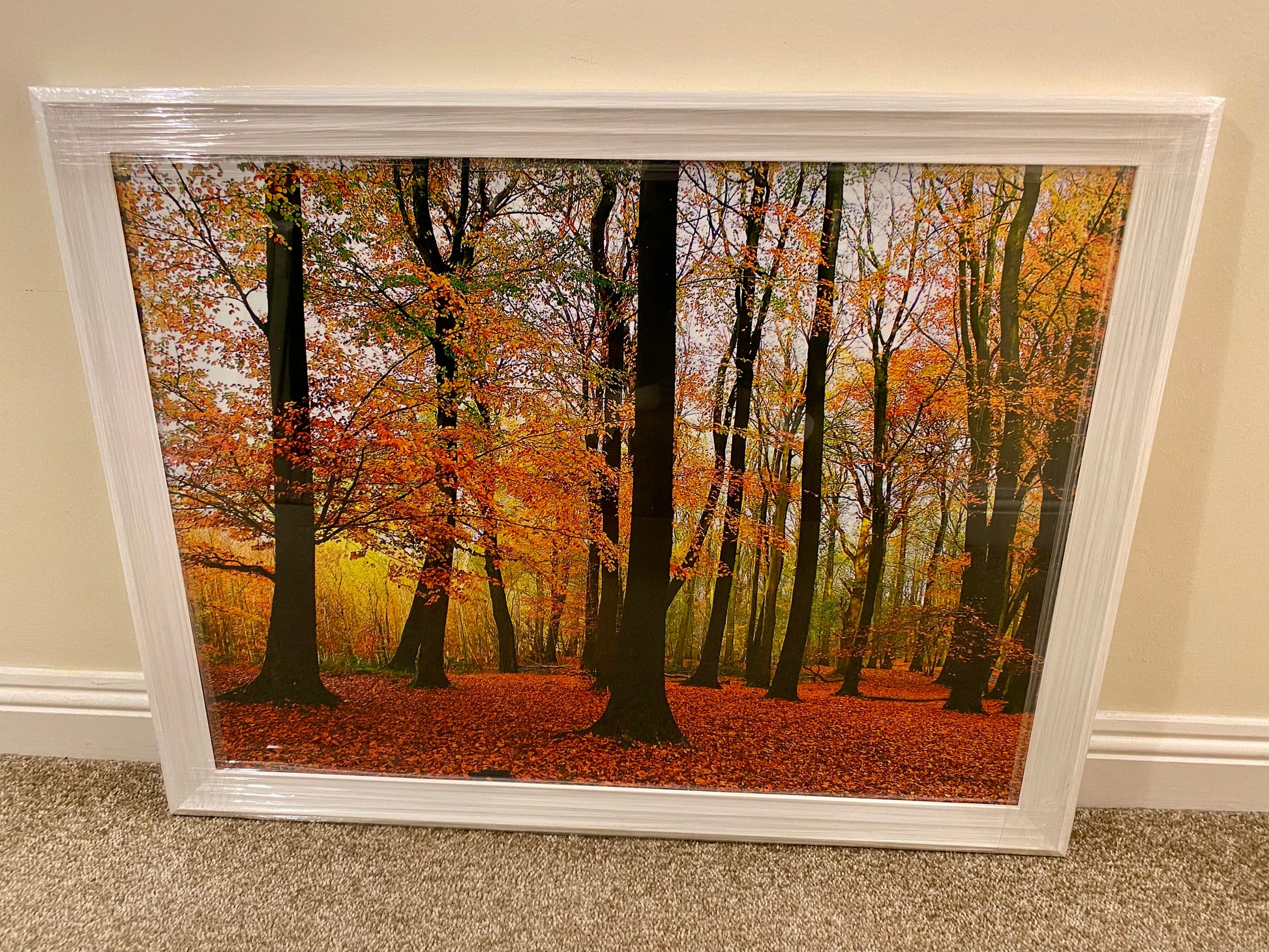 Framed picture of an autumn forest with colourful trees on a beige wall.