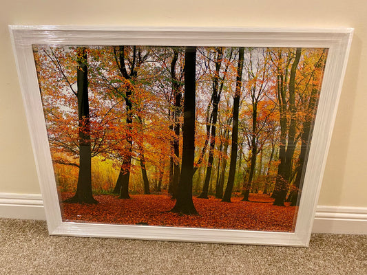 Framed picture of an autumn forest with colourful trees on a beige wall.